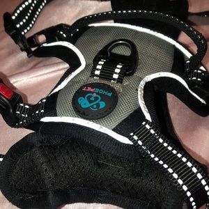 💖Small Dog Harness